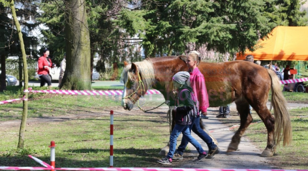 Děti v Zábřehu si budou hrát na kovboje