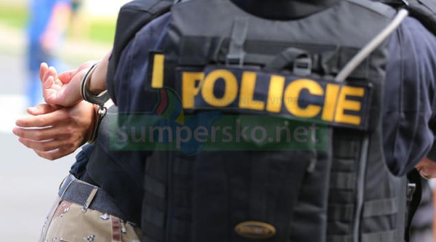 Krajští kriminalisté zadrželi cizince, který kradl luxusní mobilní telefony napříč republikou