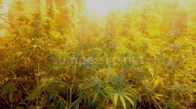 Kriminalisté z kraje zasadili další „ránu“ výrobcům a distributorům drog