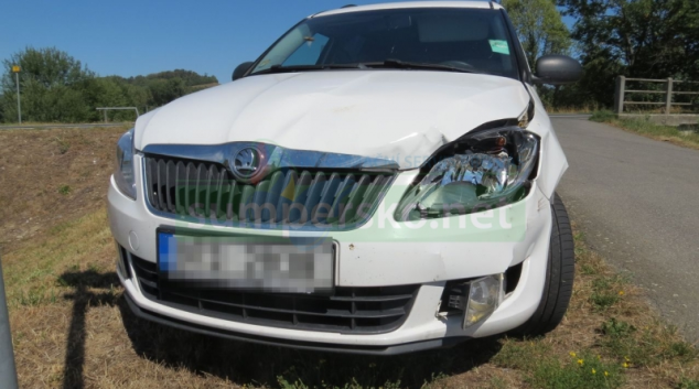 Srnec nepříjemně překvapil řidiče mezi Kláštercem a Bludovem