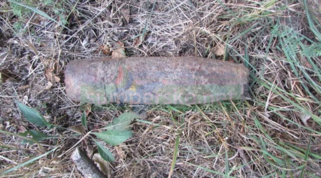Nevybuchlý dělostřelecký granát ležel v lesním porostu