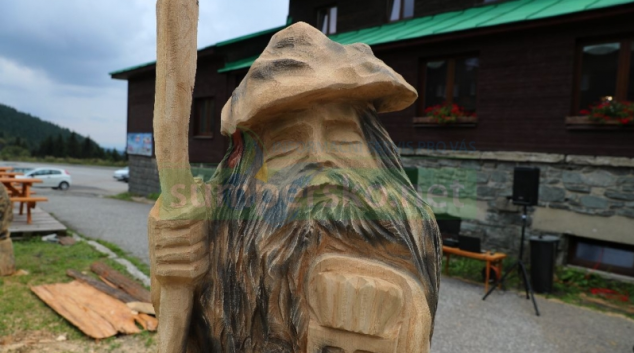 FOTO: Dřevosochání na Červenohorském sedle