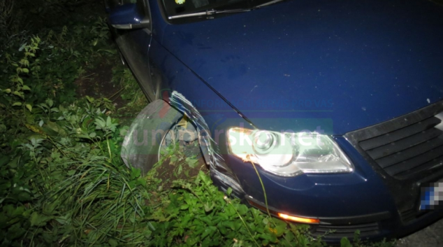 Řidičku na Staroměstsku polekala lesní zvěř