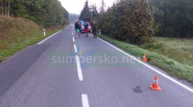 Před vozidlo na Jesenicku skočil jelen