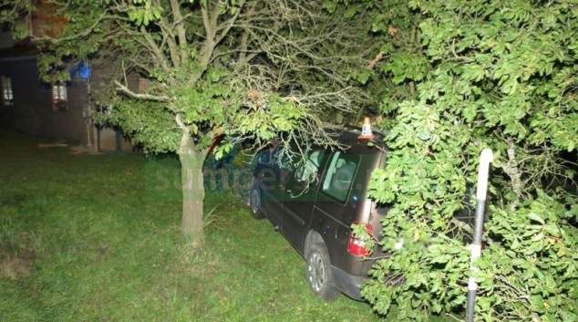 Řidička v Loučné nad Desnou narazila do stromu