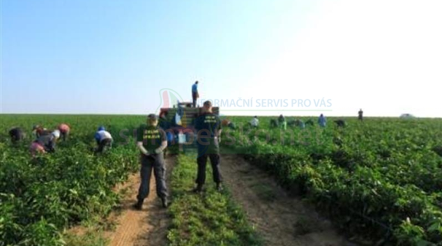 Nelegální práci cizinců kontrolovali také v Olomouckém kraji