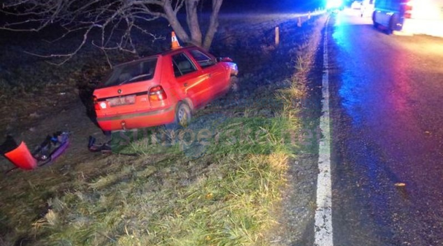 Řidička vlivem mikrospánku na Jesenicku čelně narazila do stromu