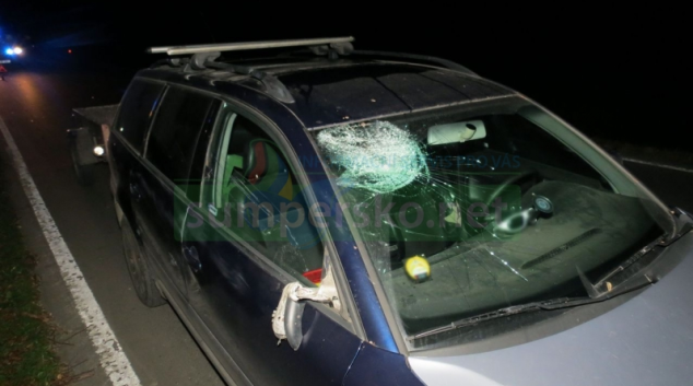 Motoristům zkomplikovala jízdu na Šumpersku opět lesní zvěř