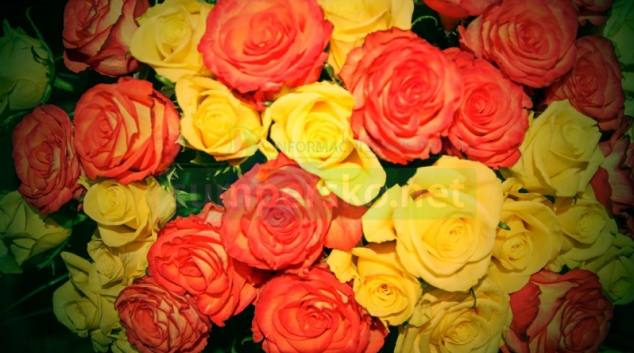 Dvě osamělé ženy v kraji místo nápadníků přišly o dva miliony