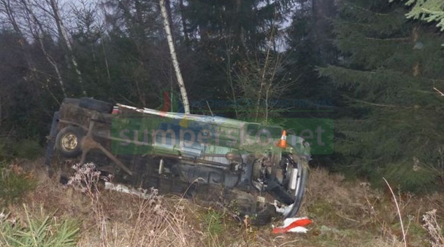 Řidič na Jesenicku kvůli srně strhl řízení