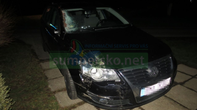 Kůň v Libině vběhl před vozidlo