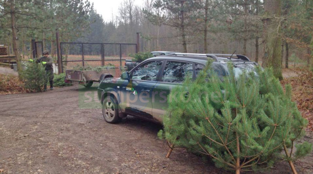 Lesníci rozváží vánoční stromky dětem