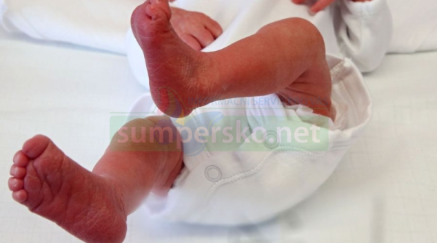 V Nemocnici Šumperk se v loňském roce narodilo devět set jedenáct dětí