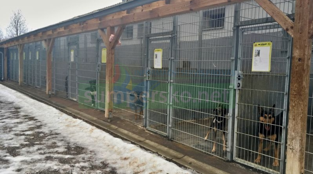 Zábřežský psí útulek funguje již jednadvacet let