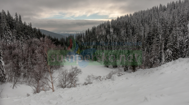 V Jeseníkách se samovolně sesunula největší lavina za posledních dvacet let