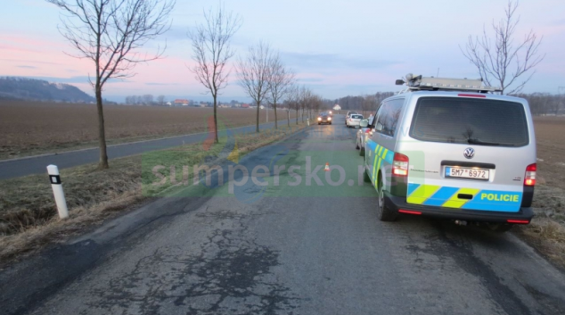 Dvě vozidla na Šumpersku poškodil srnec, který vběhl do jízdní dráhy