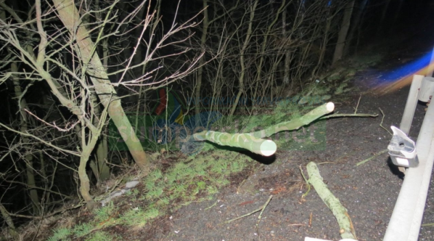 Na projíždějící vozidlo na Mohelnicku spadl strom