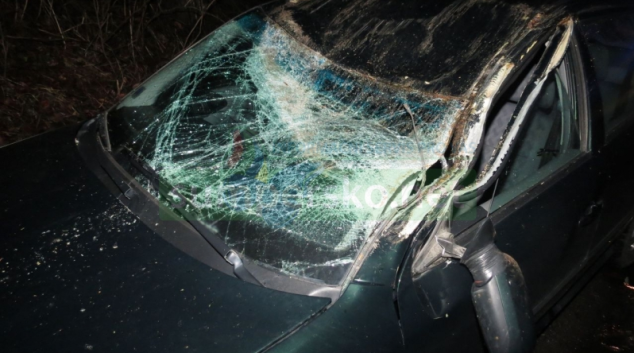 Padající buk poškodil na Hanušovicku vozidlo