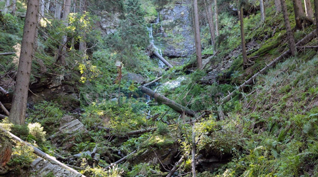 Lesníci z Arcibiskupských lesů a statků Olomouc sčítají škody po nedělní vichřici na Jesenicku