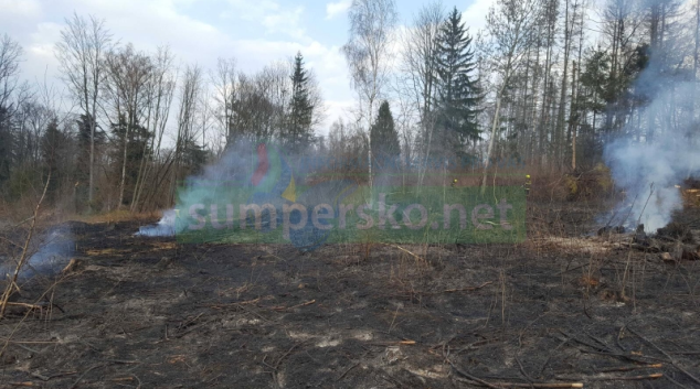 Hasiči v kraji likvidovali několik lesních požárů