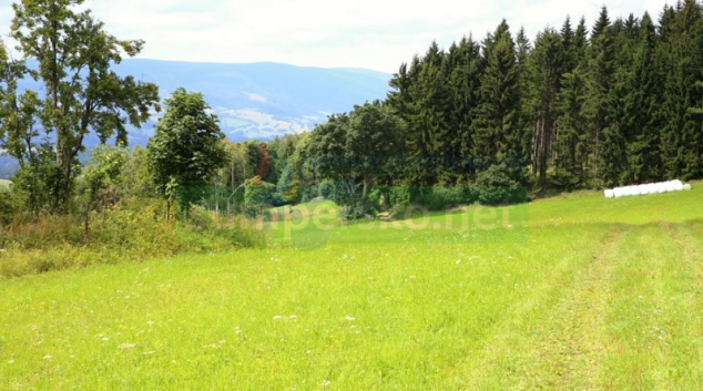 Zloděj v Žárové vykácel vzrostlé stromy