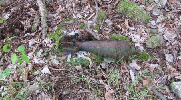 Muž našel v lese na Hanušovicku munici