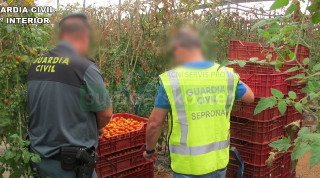 Celníci bojují proti závadným potravinám