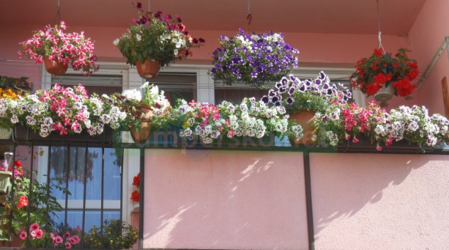 Zábřeh ocení rozkvetlá okna, balkony i předzahrádky