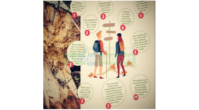 Deset kroků pro bezpečný pohyb v lese