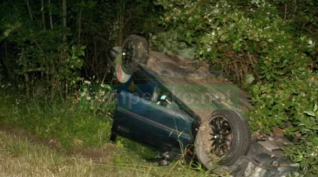 Lesní zvěř vběhla do cesty dvěma řidičům na Šumpersku