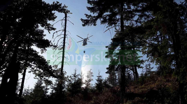 Plameny zasáhly půl hektaru lesa na Šumpersku