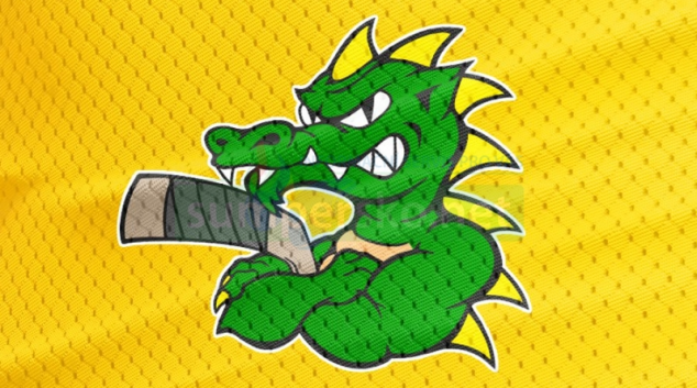 Draci Šumperk vs Katowice 1:2