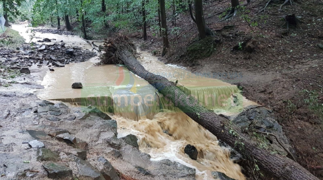 Lokální bouřky v Olomouckém kraji zaměstnaly hasiče