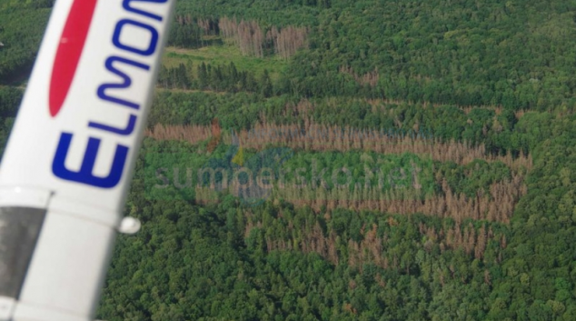 Lesy z ptačí perspektivy