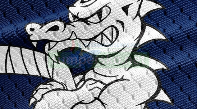 HOKEJ: Draci zahajují sezónu na domácím ledě