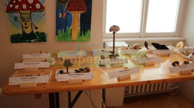 Dvacátý ročník Výstavy hub v Šumperku přinesl i nejedno ohlédnutí