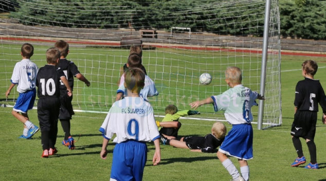 Krajské sportovní dotace uspokojí 175 žadatelů