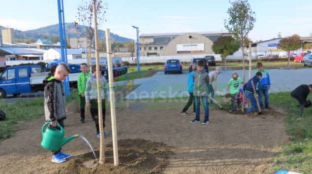 Výsadba stromů v Šumperku