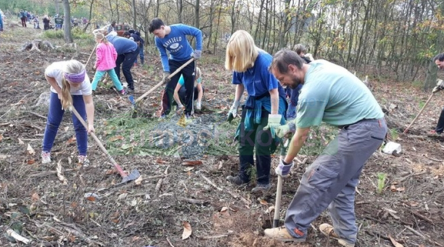 Den za obnovu lesa spojil 31 tisíc lidí