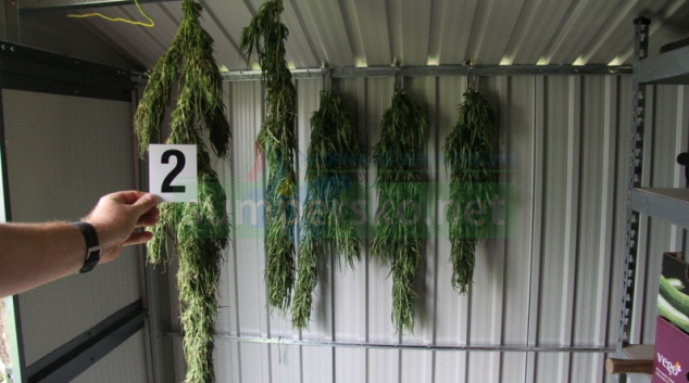 S podzimní sklizní pěstitelům „pomáhal“ šumperský TOXI tým