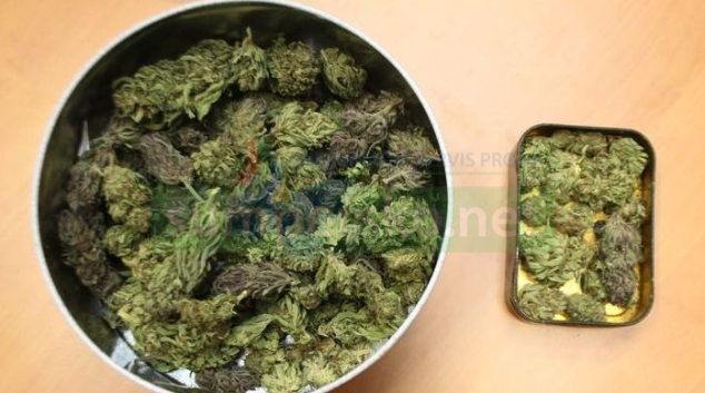 Na Olomoucku Toxi tým posbíral pervitin i hašiš