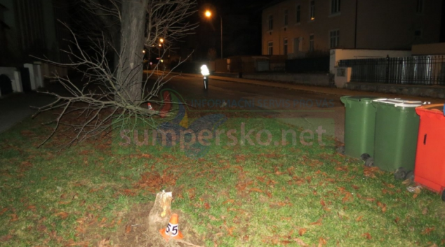 Řidič agresivní jízdou Šumperkem poškodil nejen okrasný strom před školou