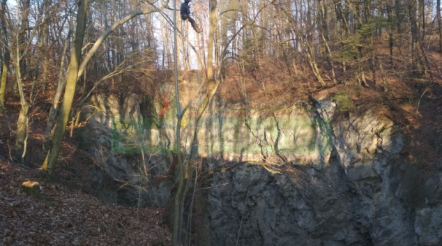 U Hranické propasti začala těžba přestárlých nebezpečných stromů