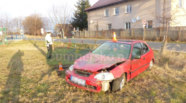 Řidič na Jesenicku se lekl srny a havaroval