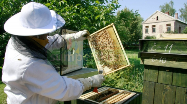 Hejtmanství rozdělí rovný milión včelařům