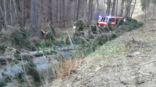 Hasiči likvidovali následky silného větru