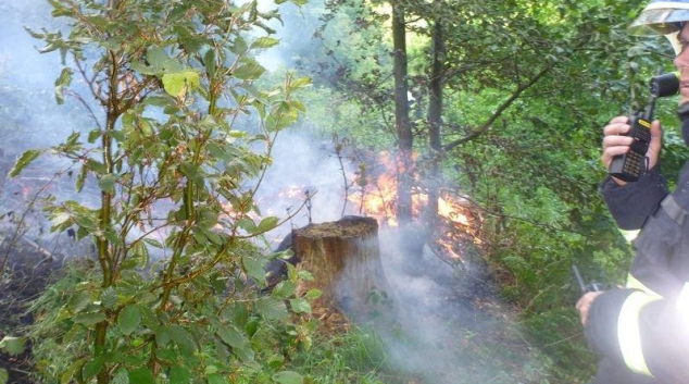 Požár půl hektaru lesa likvidovali hasiči na Šumpersku