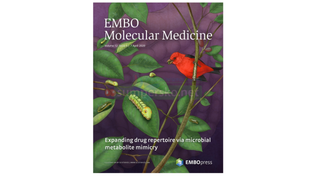 Výrazné zlepšení léčby zánětlivých onemocnění střev