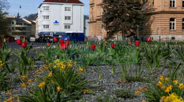 Šumperk rozkvétá i přes úsporná opatření