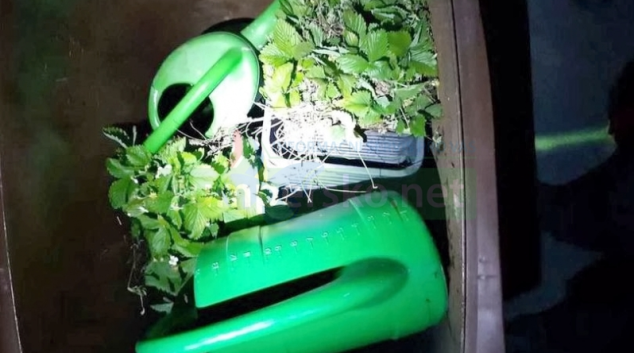 Šumperští policisté řešili krádež popelnice